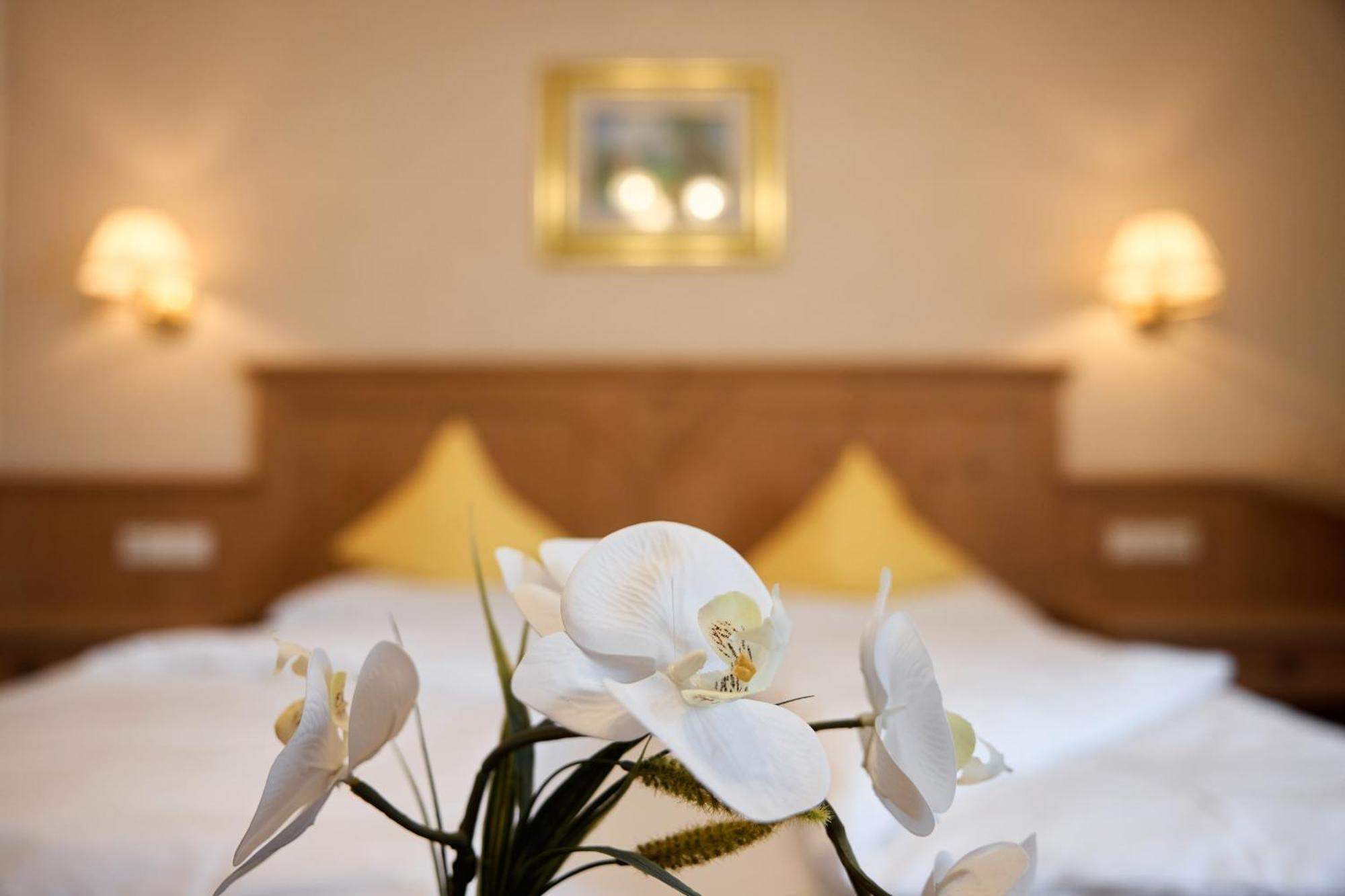 Dolomites Wellness Hotel Savoy 拉维拉 外观 照片